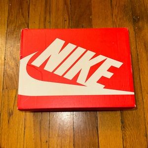 Nike Kids Michigan Dunks